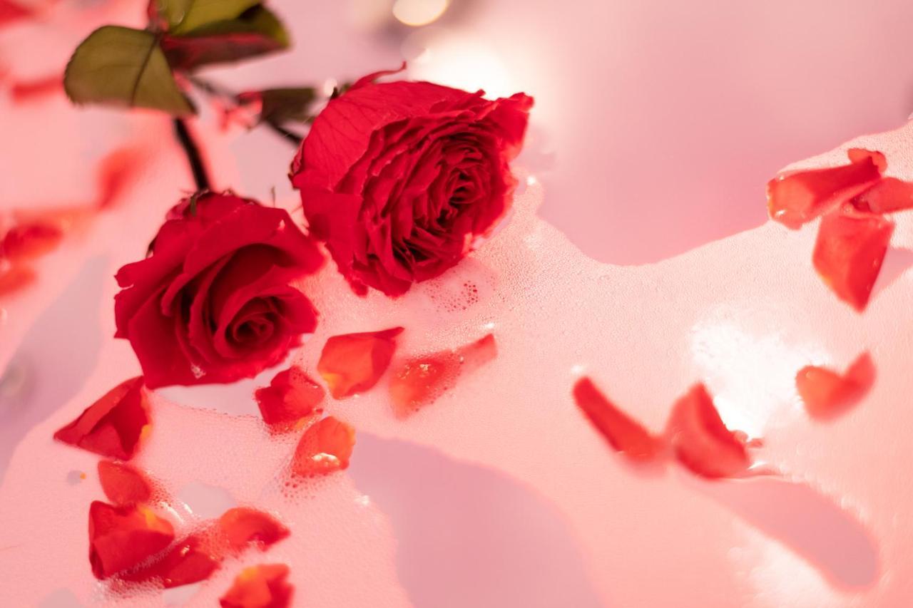 Romanticky Wellness Suite Hotel Heinz Dobris Εξωτερικό φωτογραφία